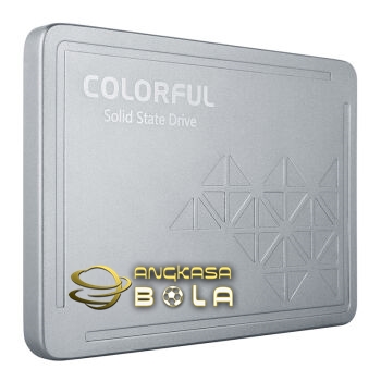 Ulas SSD Colorful SL500 240GB