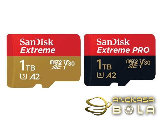 SanDisk-1-TB-Indonesia