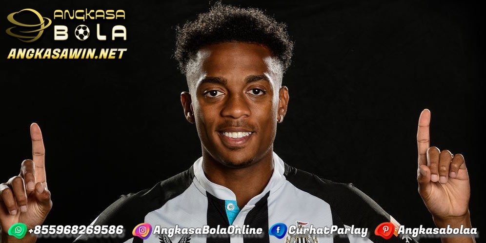 Joe Willock Resmi ke Newcastle