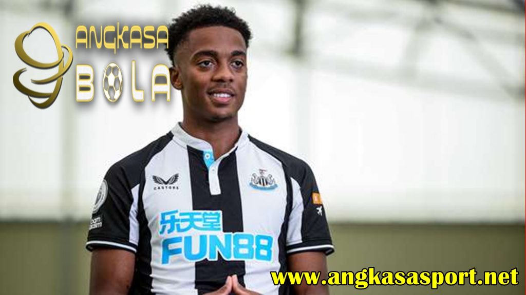 Menjadi Penentu Kemenangan Newcastle, Begini Komentar Joe Willock