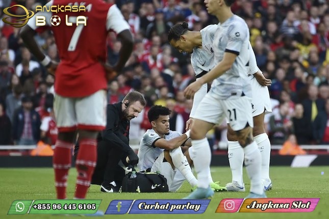 Badan Wasit EPL Akui Bikin Kesalahan Gol Luis Diaz Seharusnya Sah